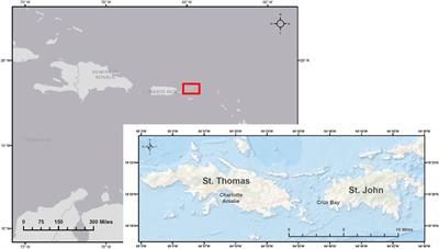 Semi-analytical inversion modelling of Chlorophyll a variability in the U.S. Virgin Islands